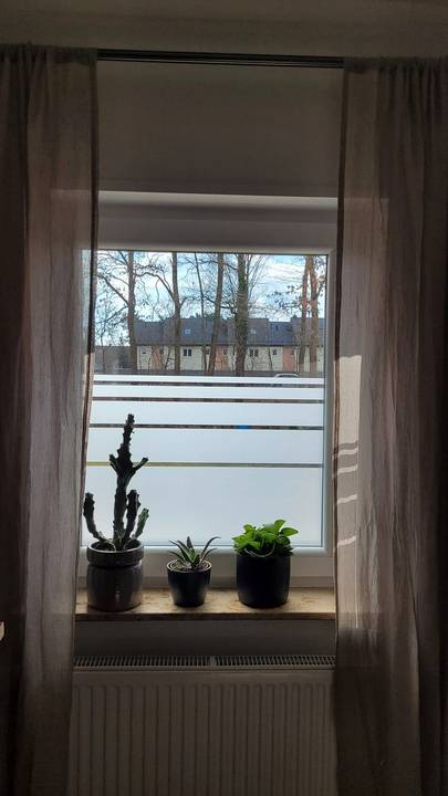 Sichtschutzfolie an einer Fensterfront mit Zimmerpflanzen auf dem Fensterbrett
